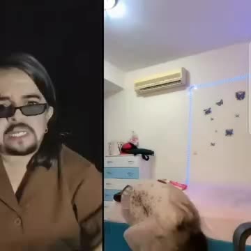 @Waseembangash3