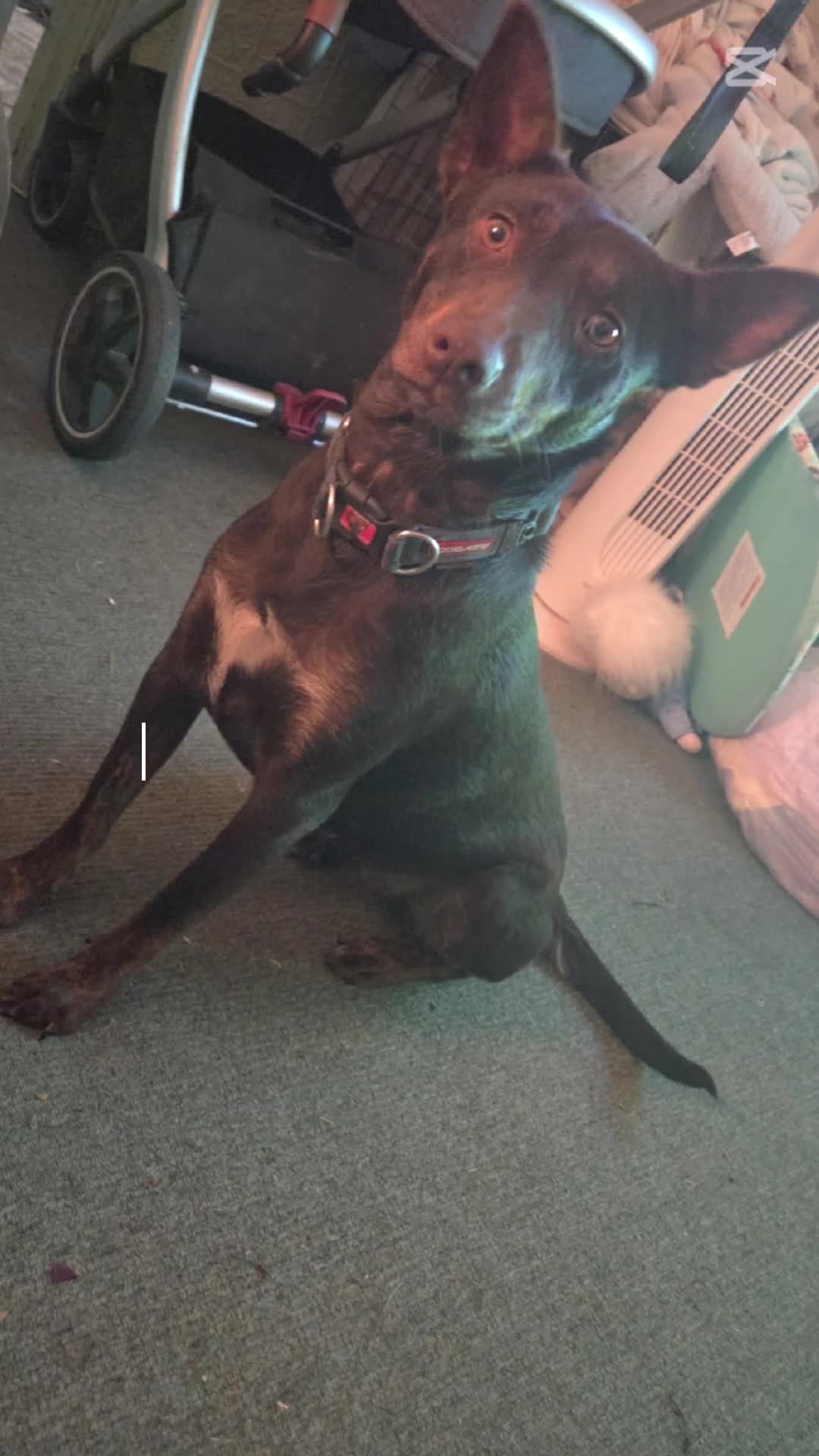 @Amy_98🩷💜