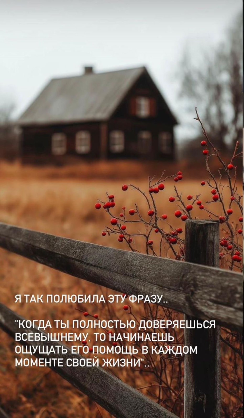 @user6103751502842светлана
