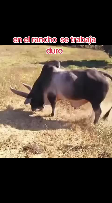 @NATURALEZARANCHO