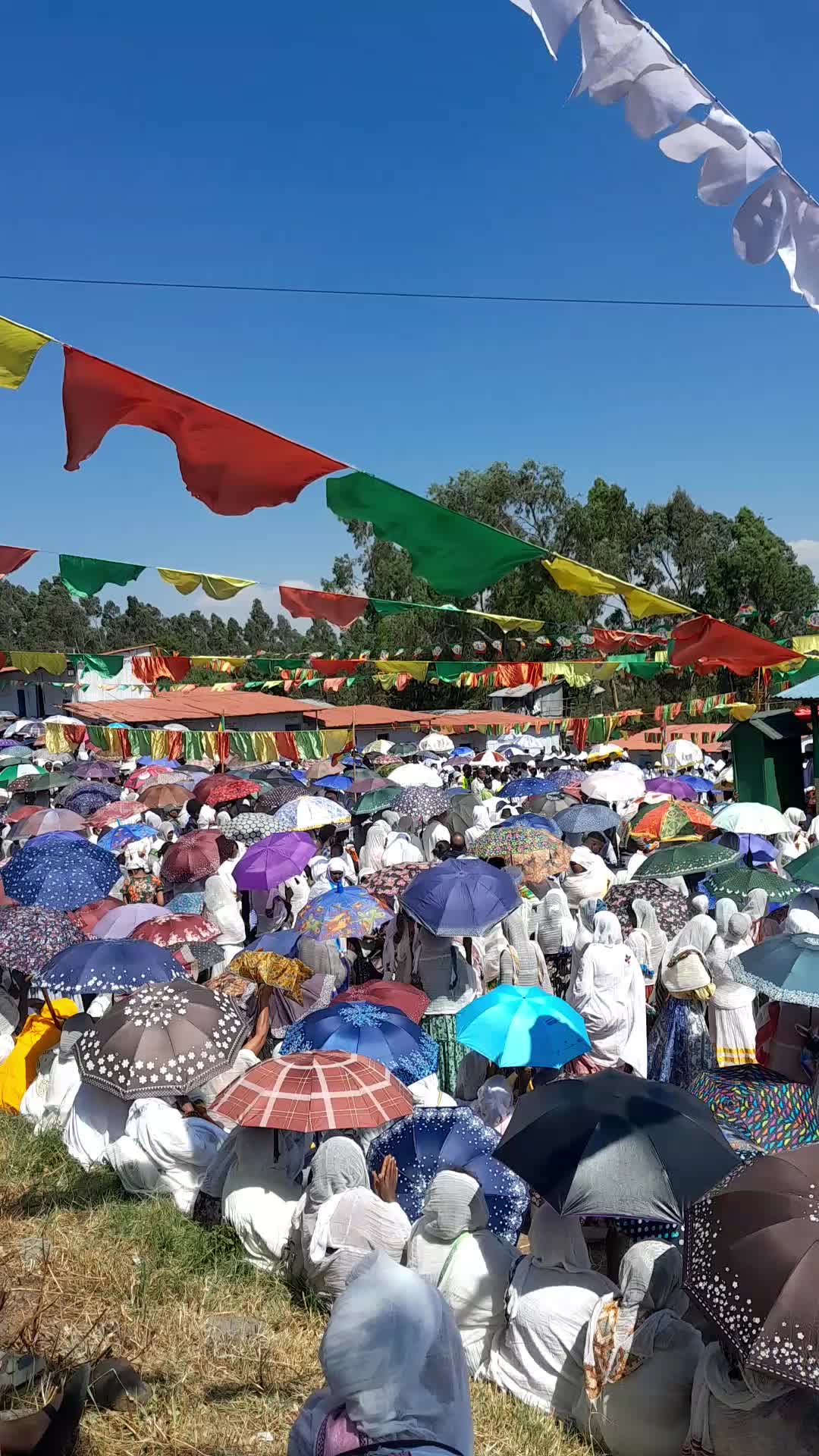 @አልሚ 🥀
