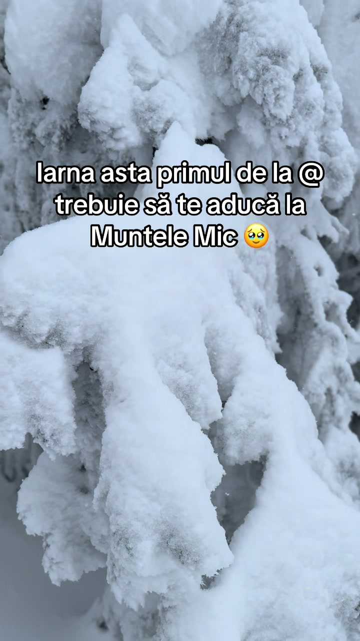 @acasalamuntelemic