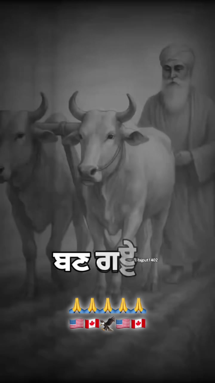 @Harwinder Lail