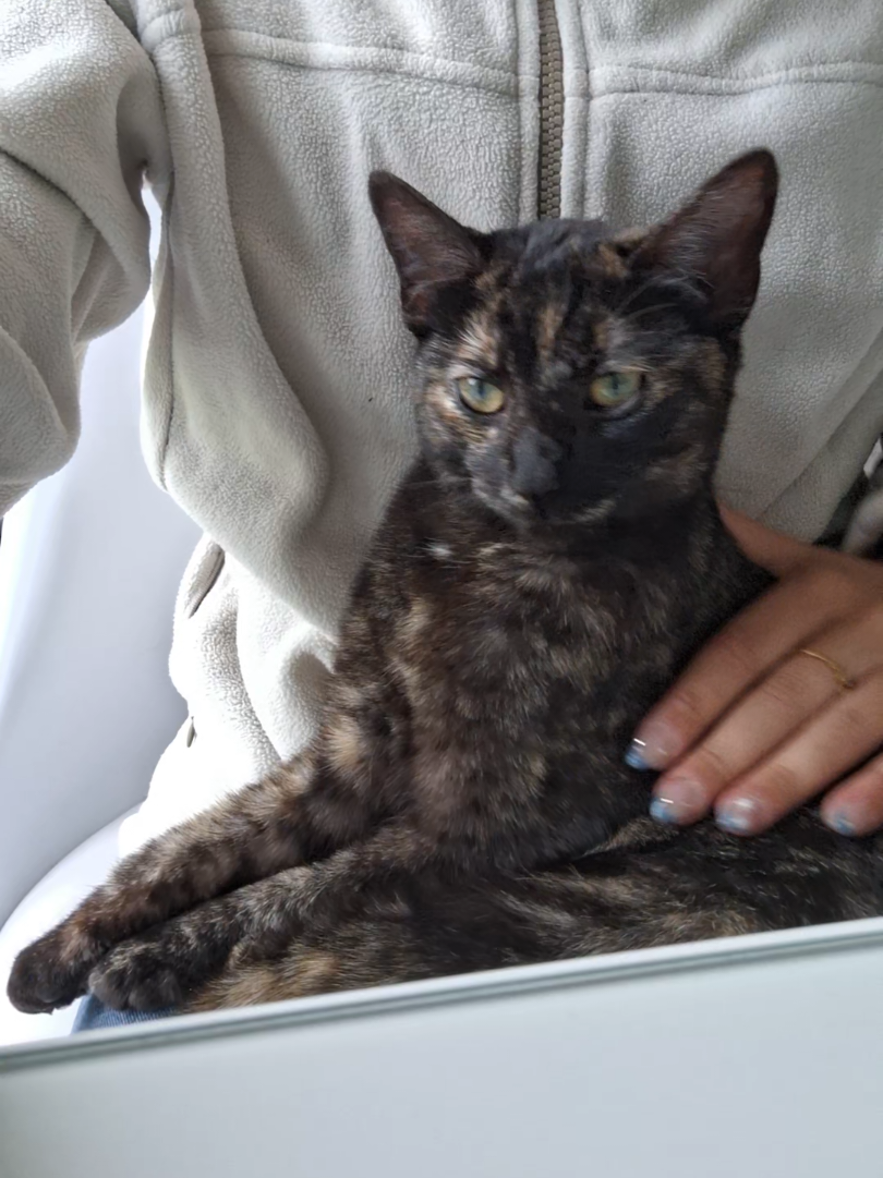 @Maru 🤍