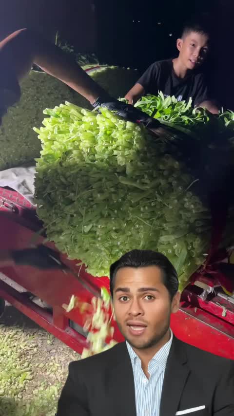 @Bchfgh