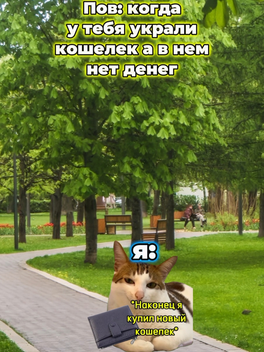 @MisterCat