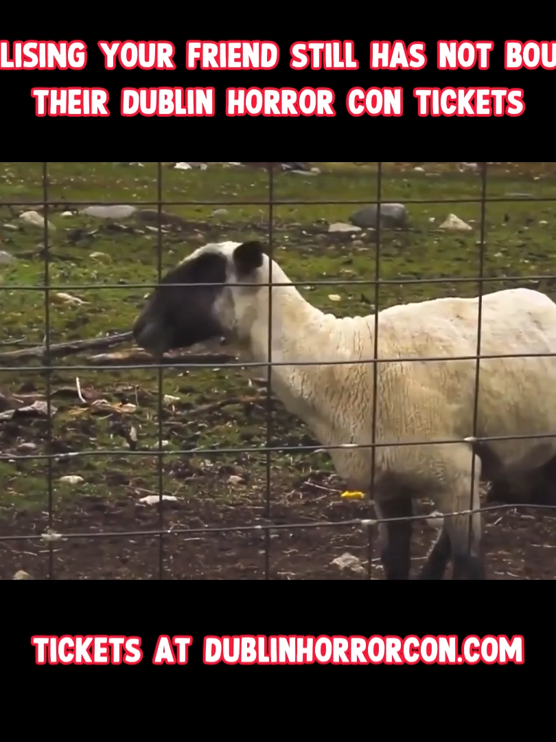 @DublinComicCon