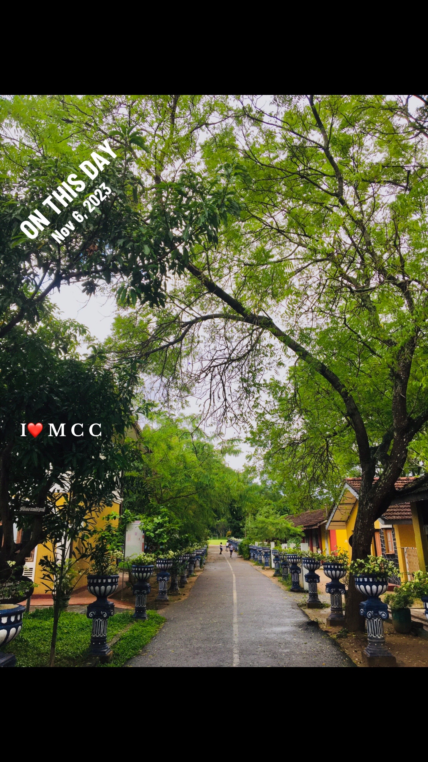 @M.r Prakash 🕸🦕