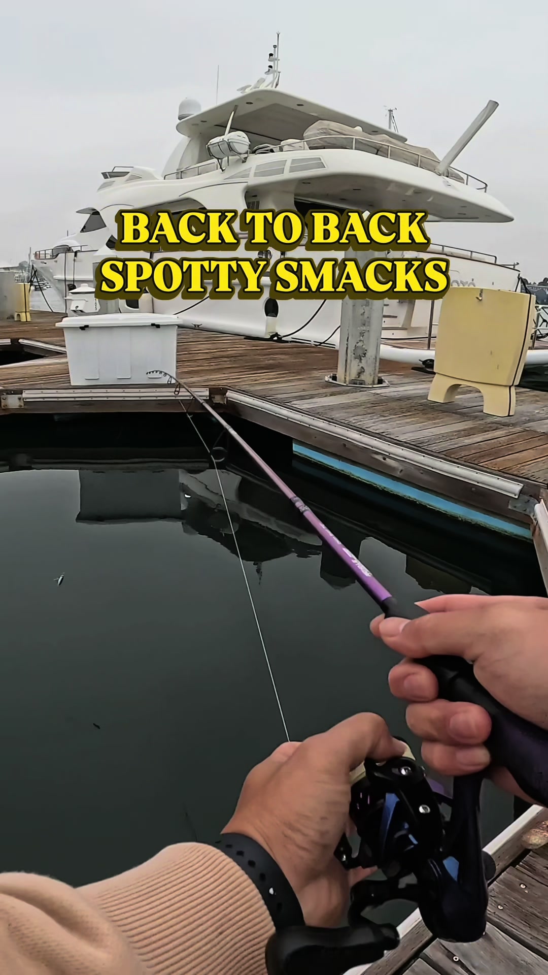@BP FISHING