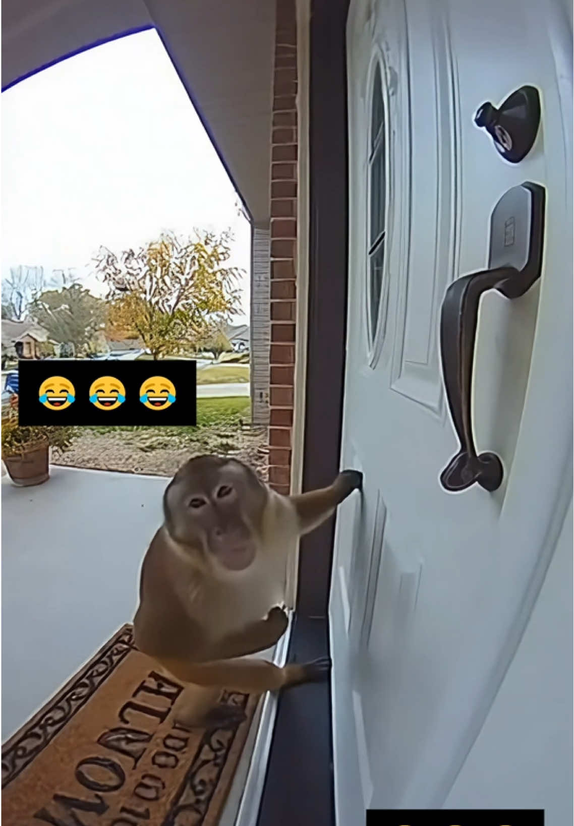 @BrainrotMemes