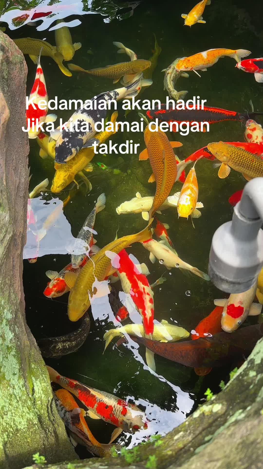 @zakiyatul masfufah