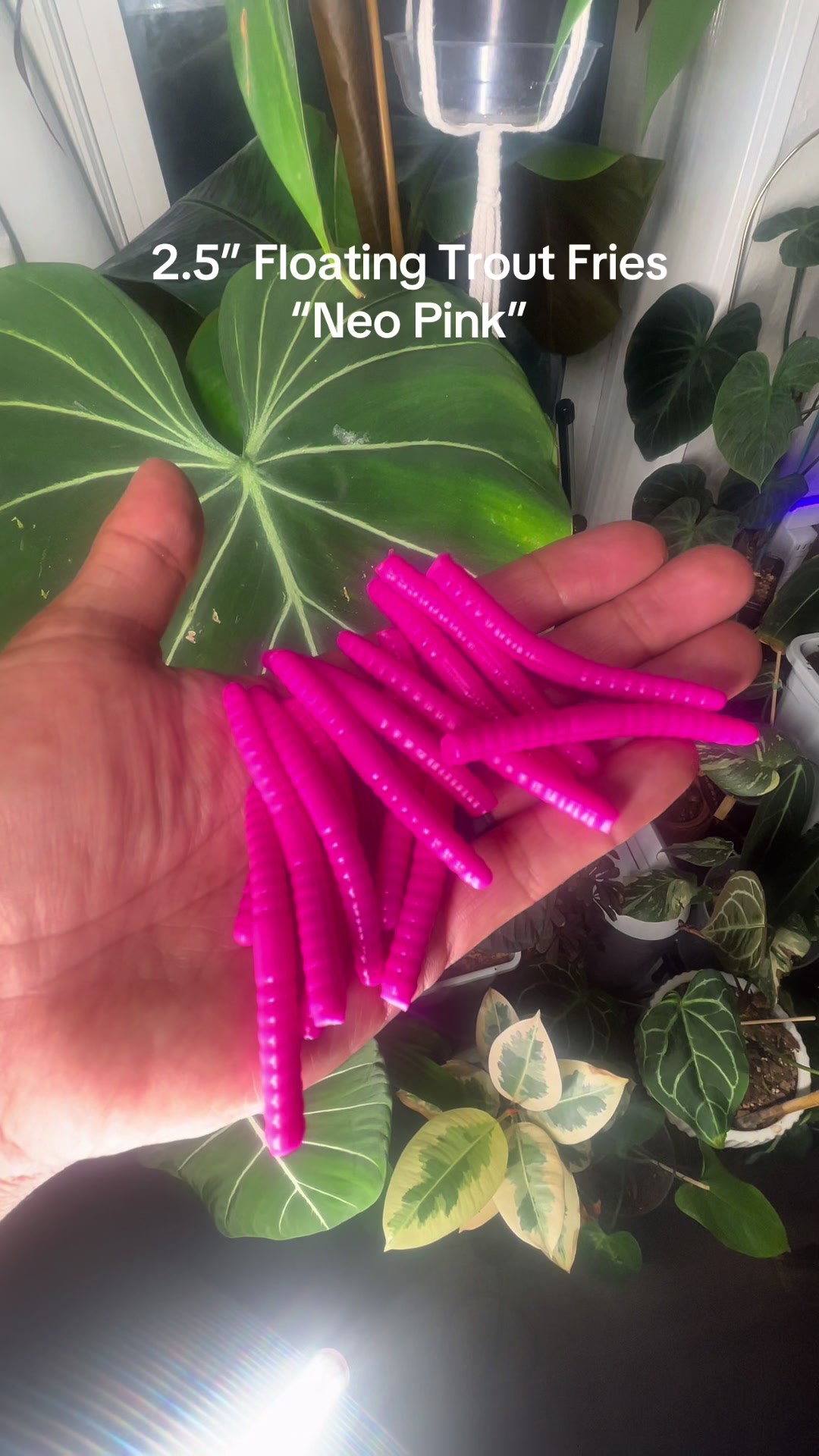 @Keep It Reel Trout Worms