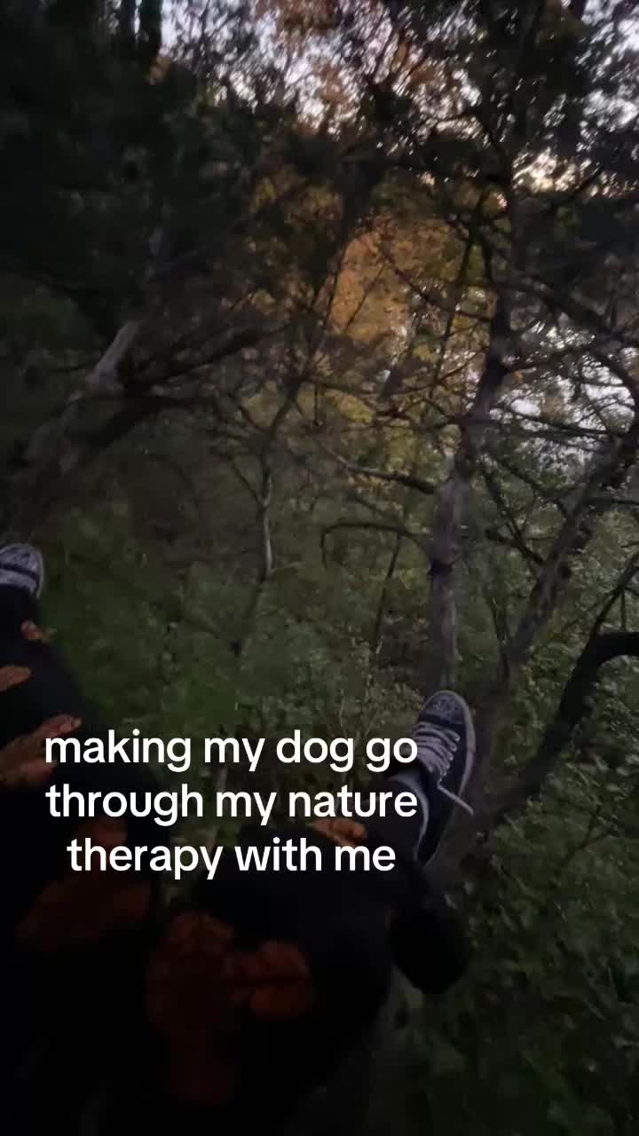 @ash ☆