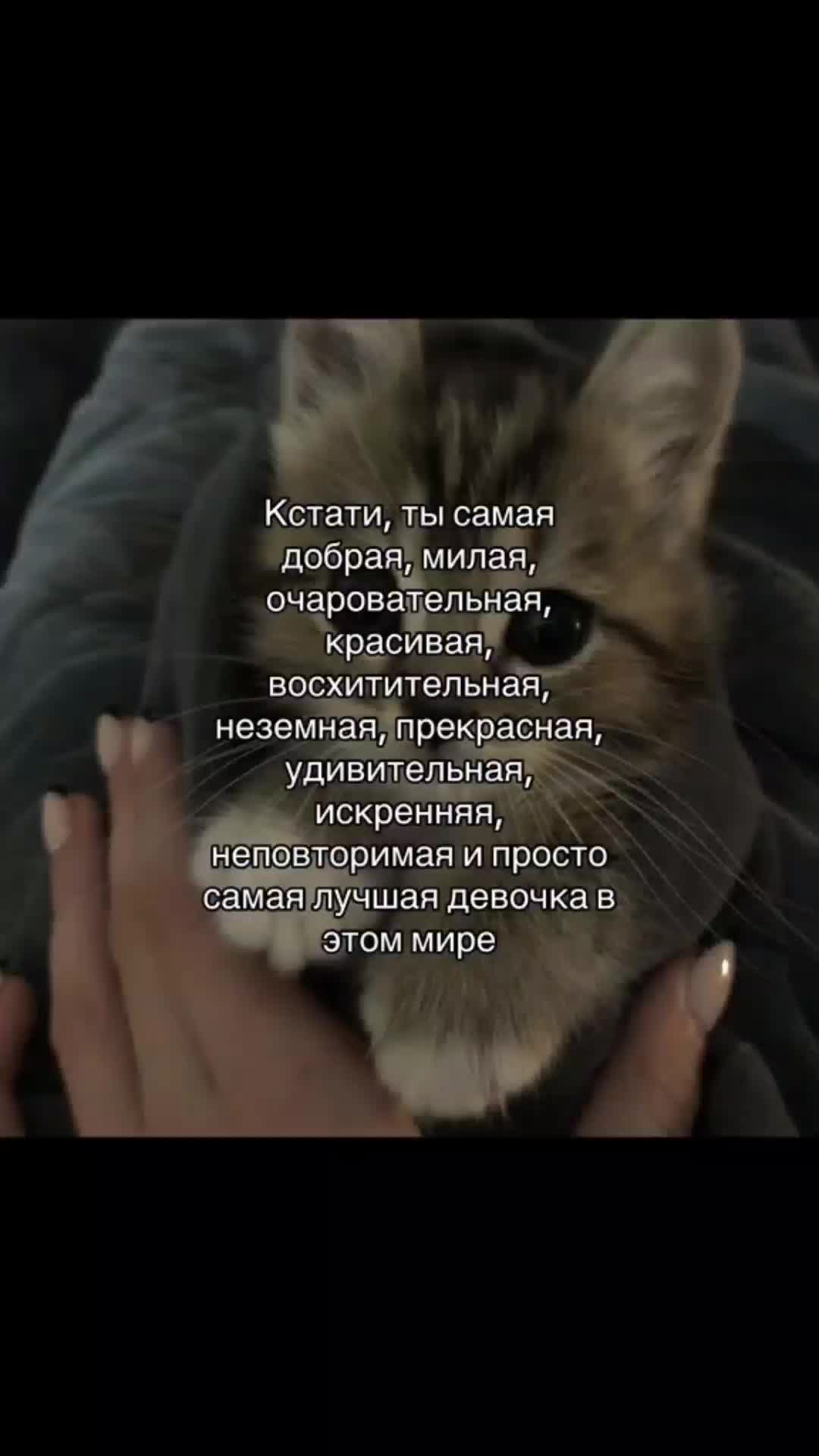 Красивые слова для девушки комплименты Красивые слова для девушки комплименты