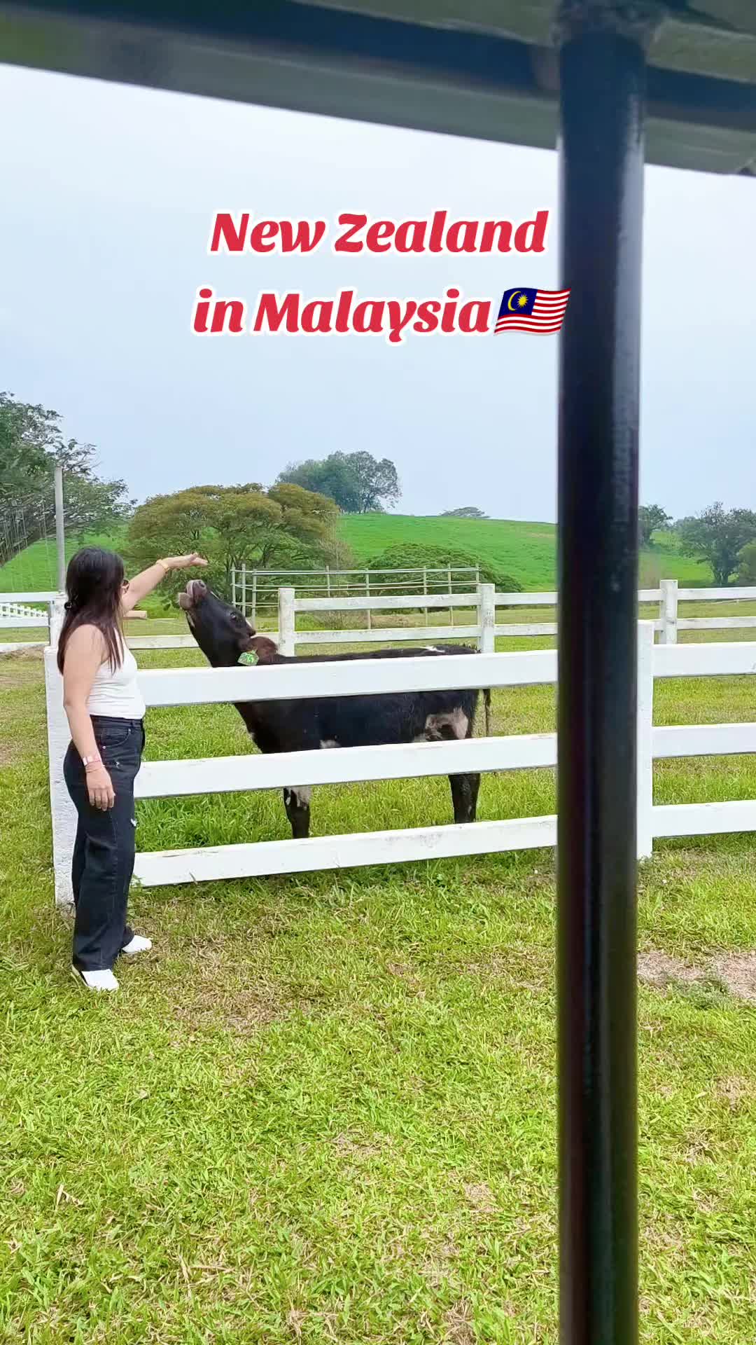 @JA Net104🇵🇭🇲🇾