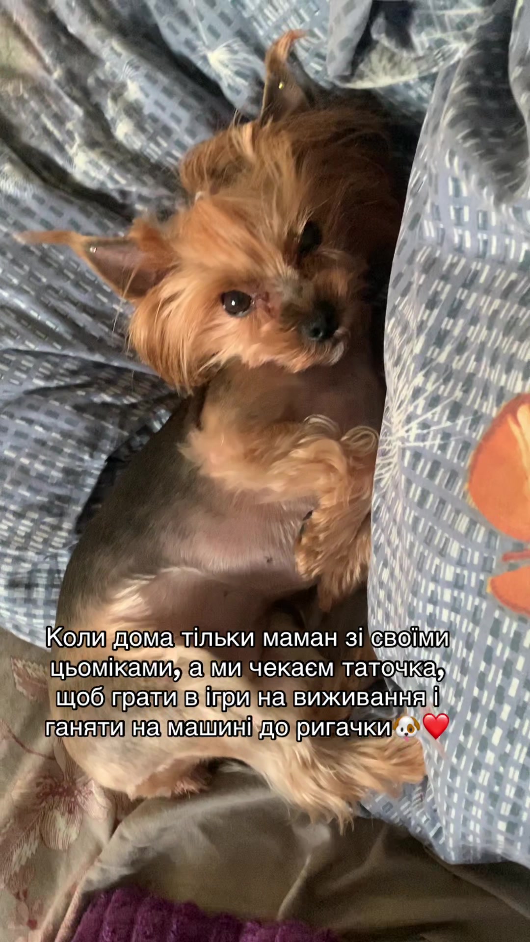 @nactya1081010810