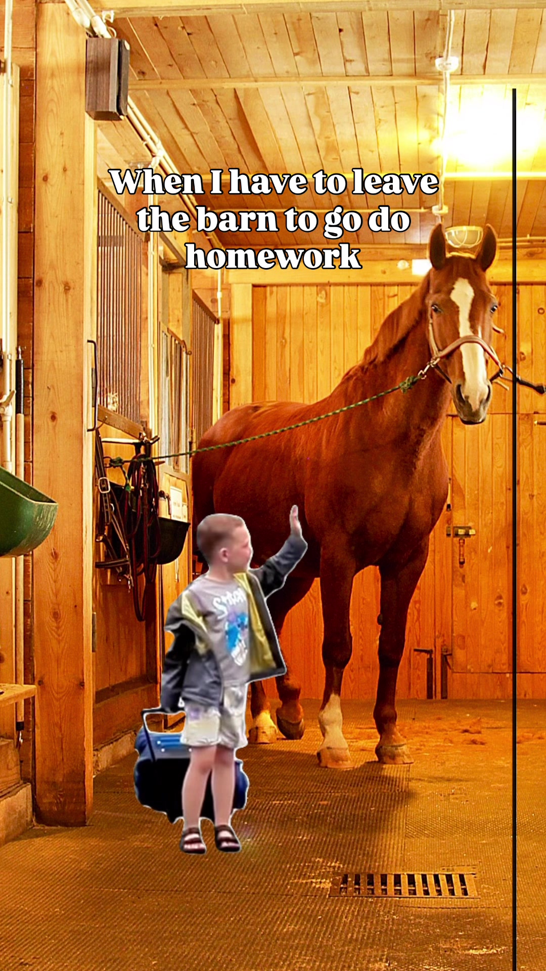 @Young Rider