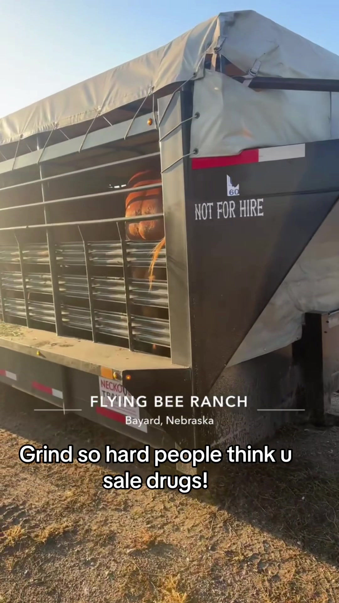@tripleclivestock