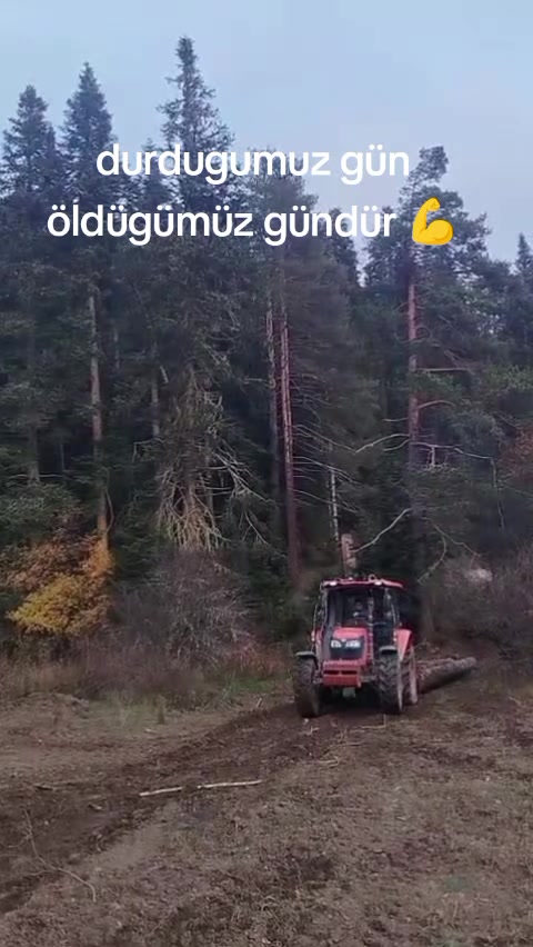 @Bulut Karay