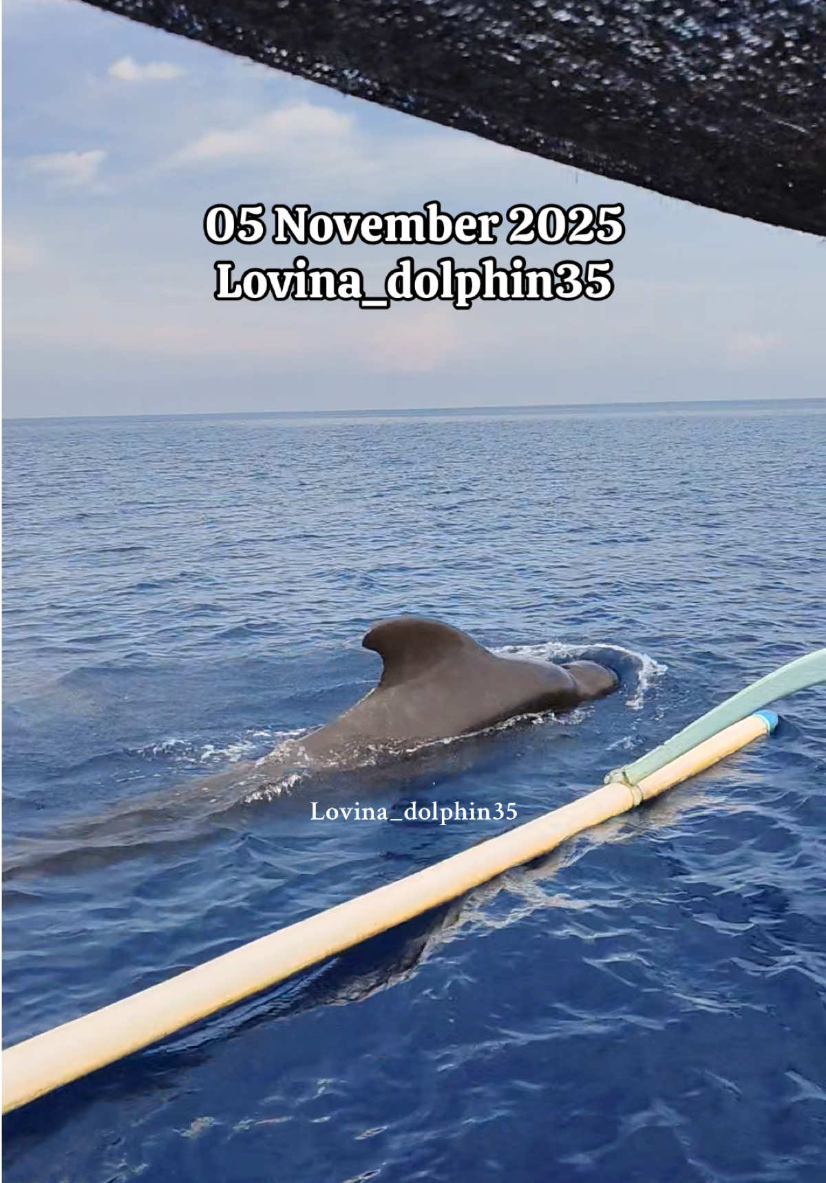 @𝙇𝙤𝙫𝙞𝙣𝙖_𝙙𝙤𝙡𝙥𝙝𝙞𝙣35