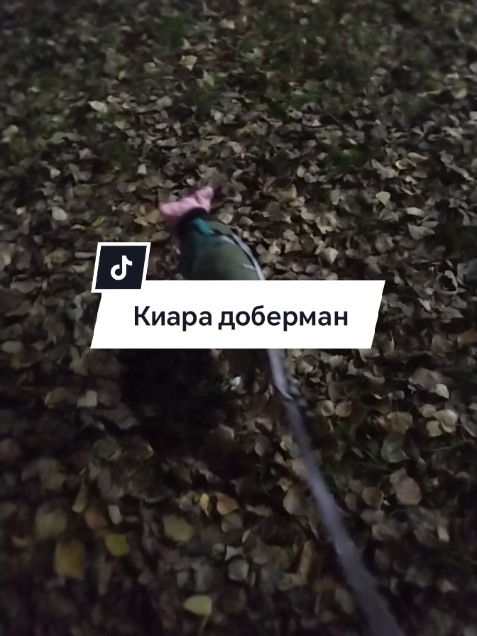 @🩸маньячка🩸