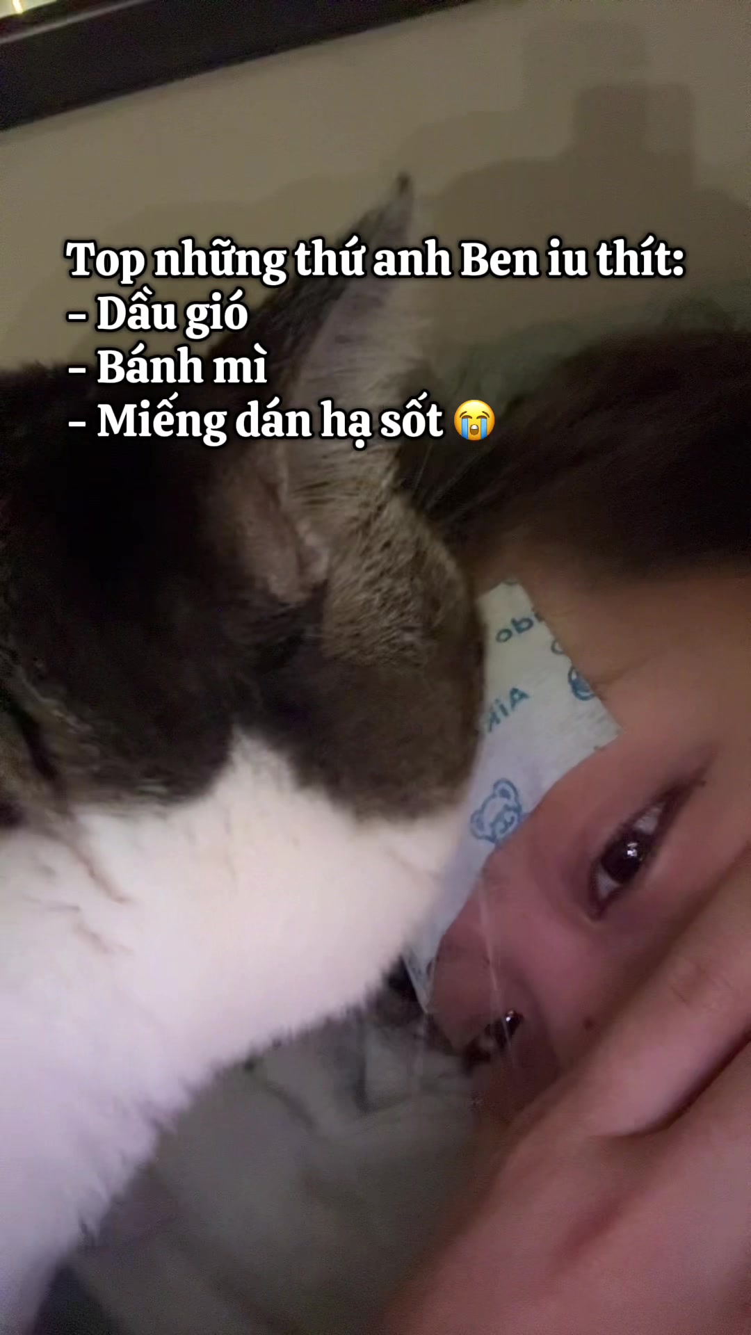 @Đang dọn nh&agrave;