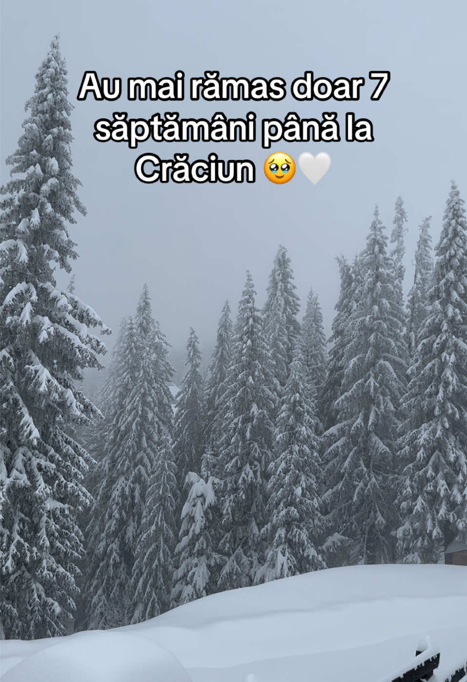 @acasalamuntelemic