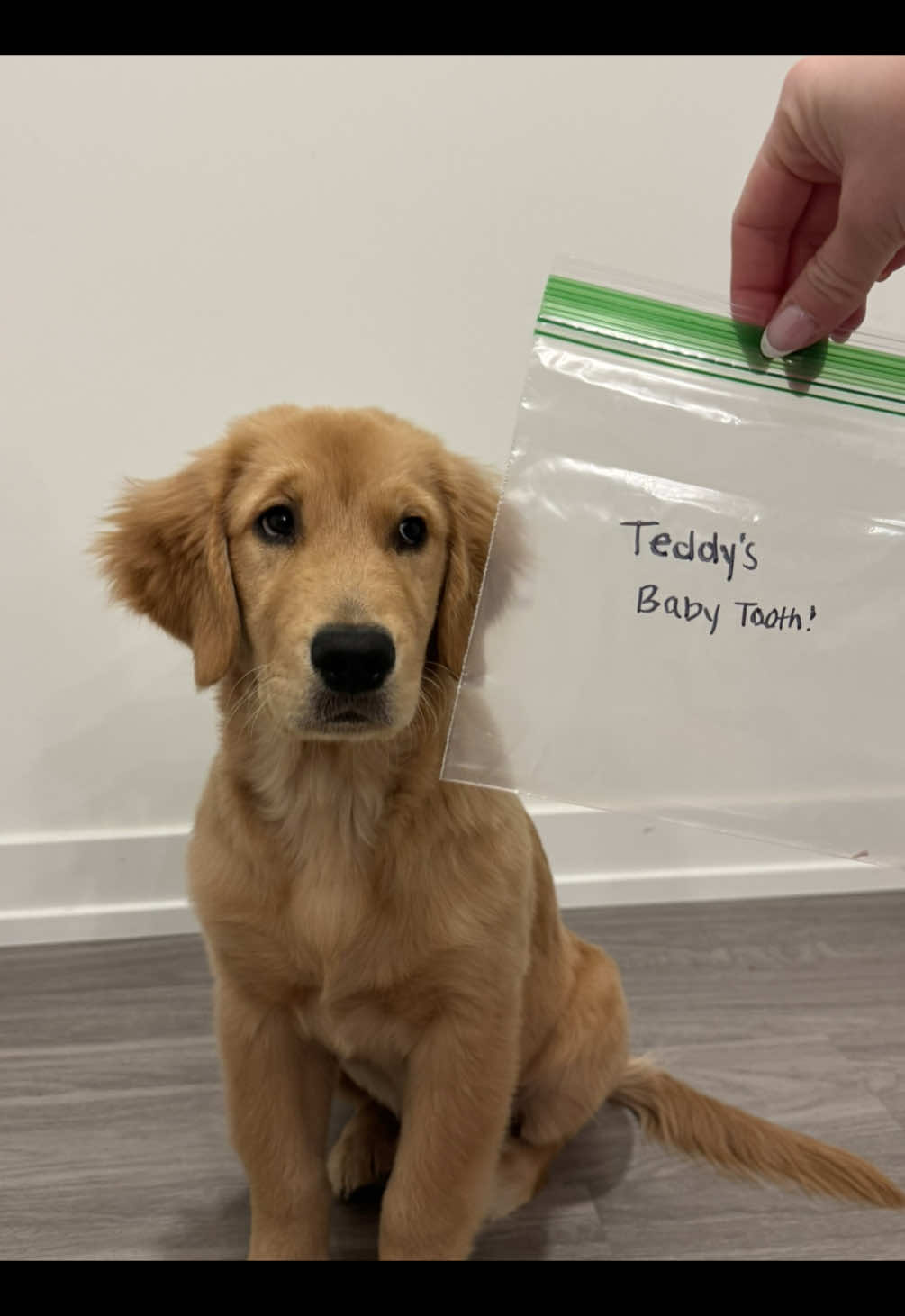 @Teddy🧸