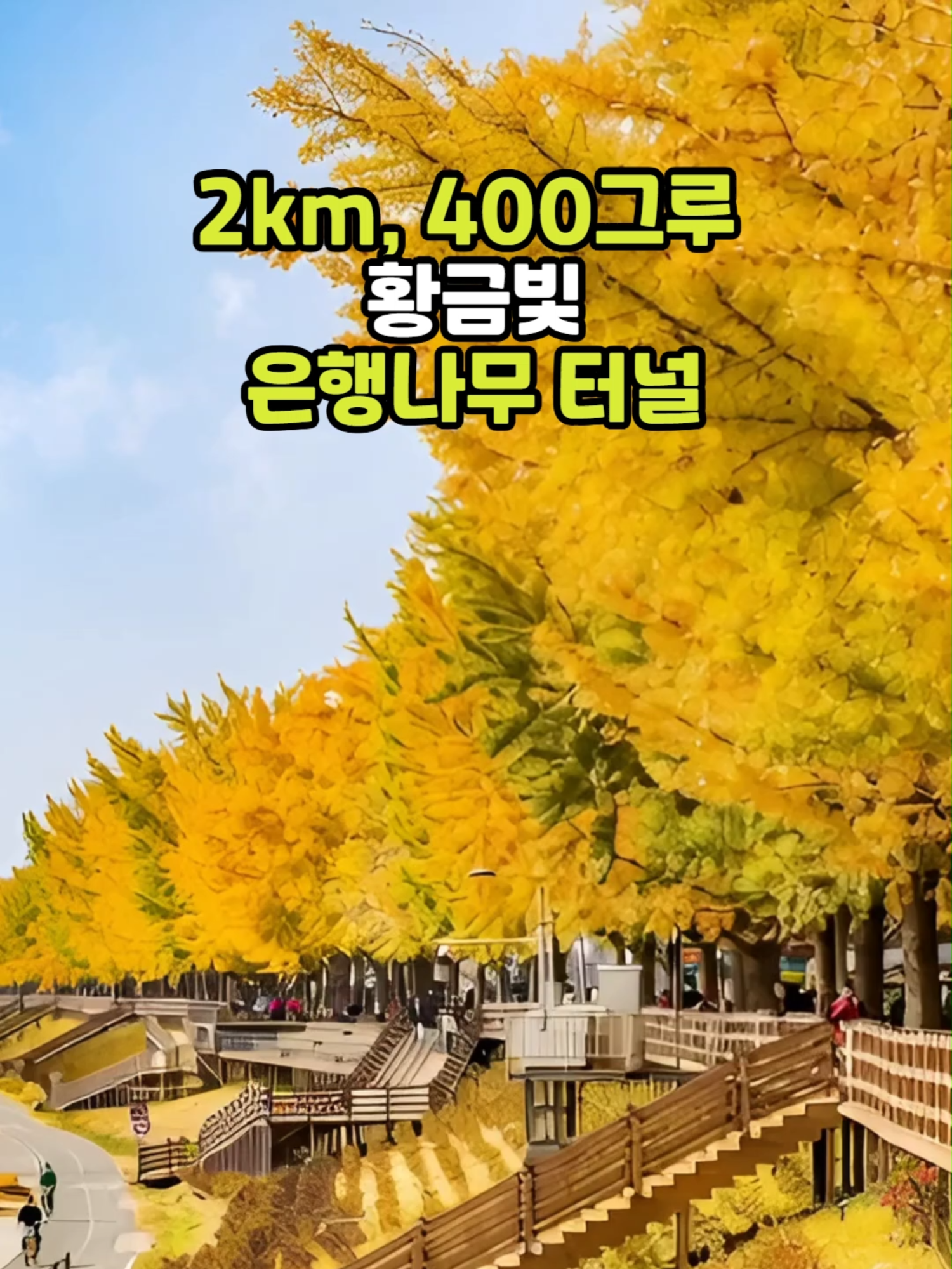 @꽃길