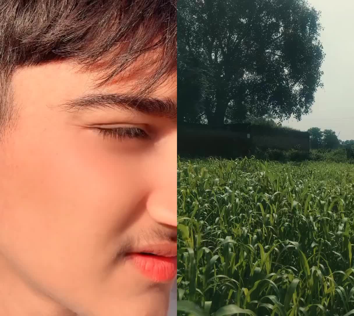 @ᶦᶰᵈ᭄ᴘʀɪɴᴄᴇ ᴮᵒˢˢ☯