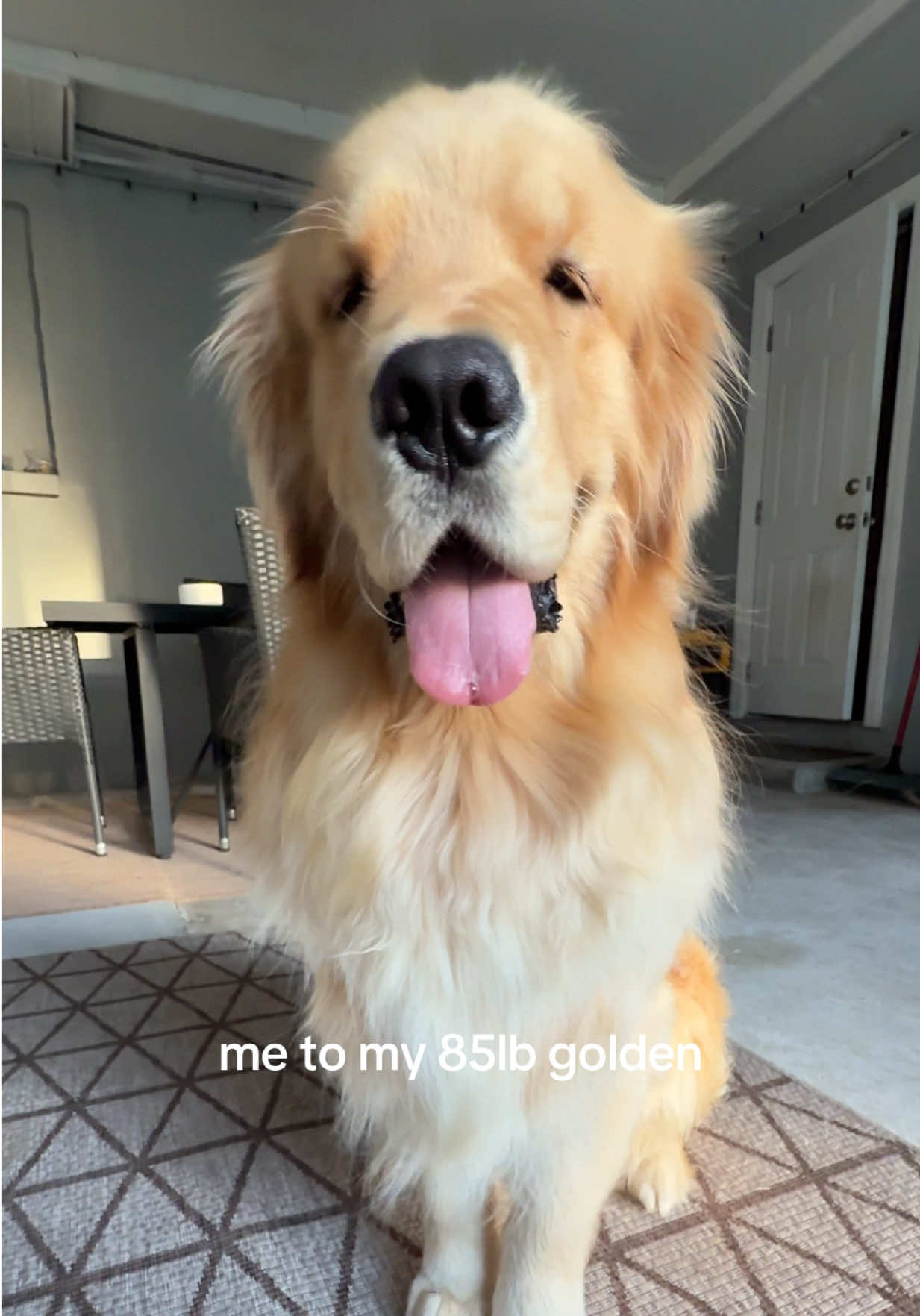 @reef the golden
