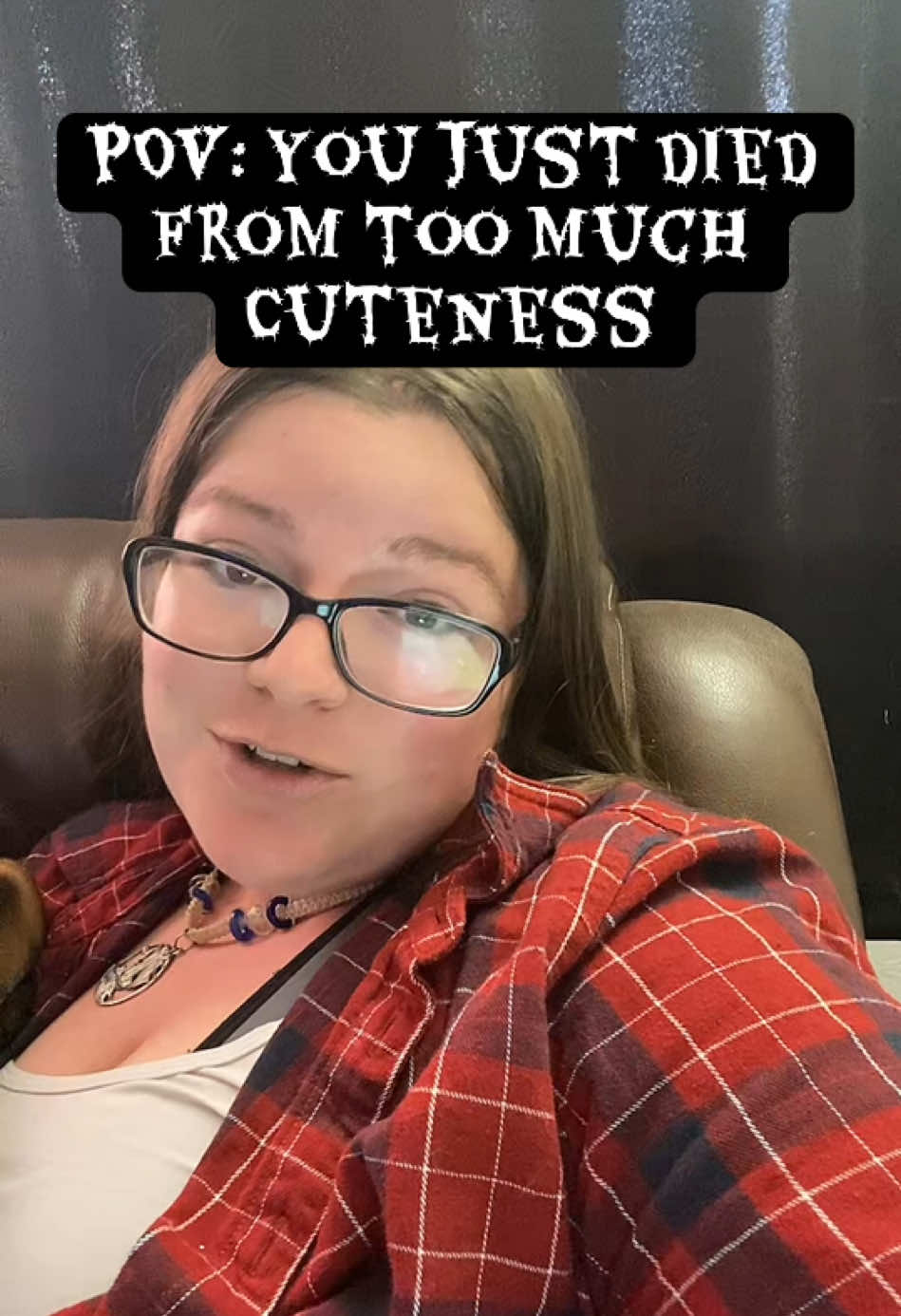 @ruledbyhounds