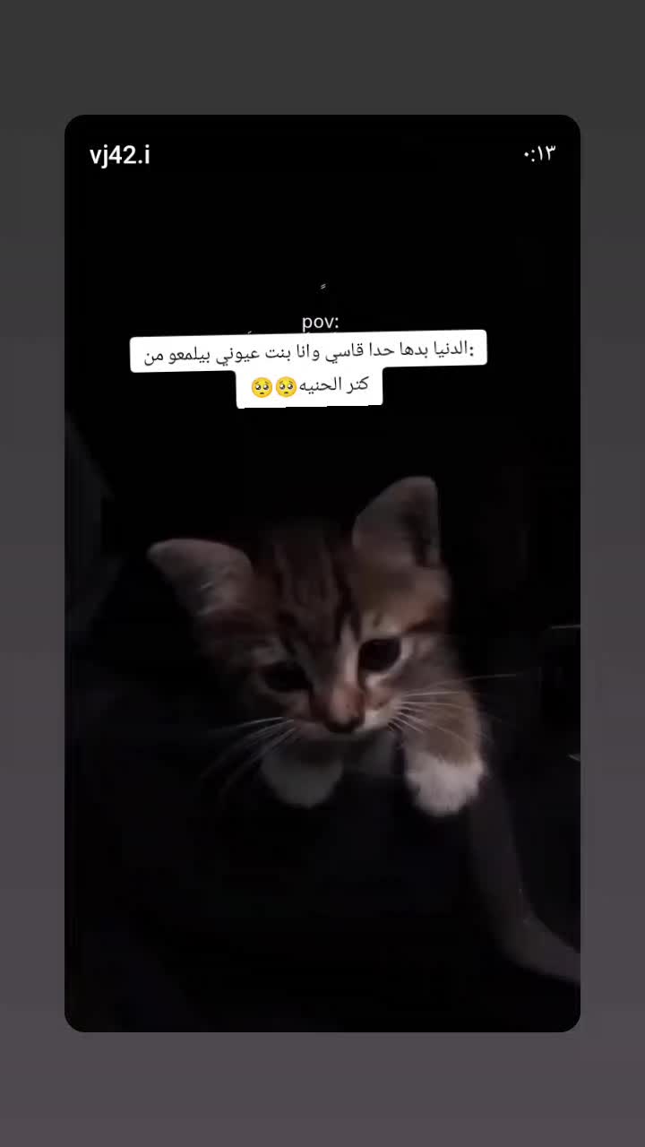 @:مـــ&weierp;َؒؔـزاجٌّــ&weierp;َؒؔــَٰٖٖٙه