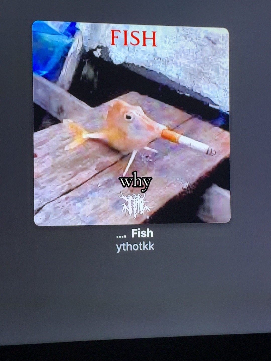 @W|Z/\RD