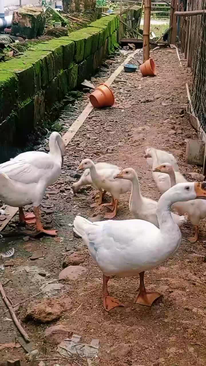 @๐
๐
๐
๐
๐
๐
๐
ข๐
ค๐
๐
๐
ฃ