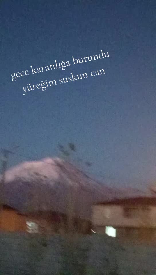 @dılemın