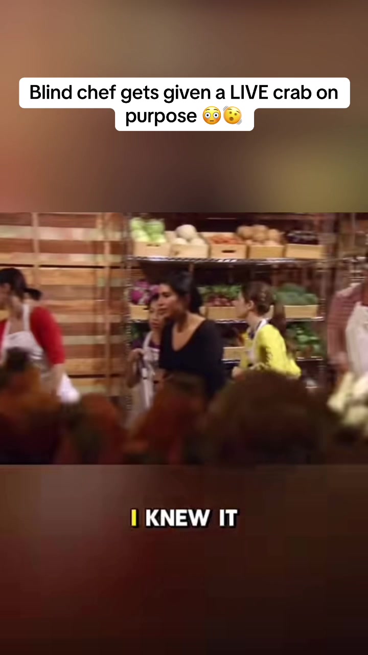 @Gordon Ramsay Clips