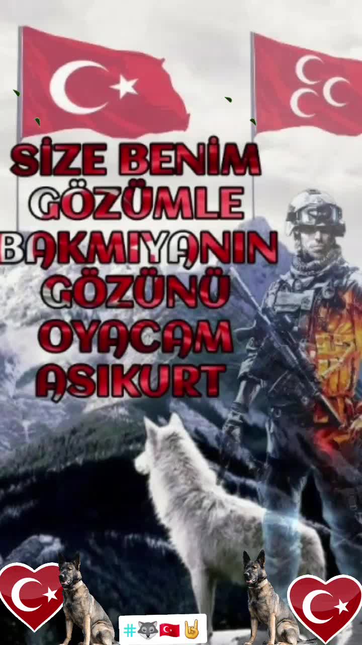 @🐺🇹🇷🤘BOZKURT ASENA🐺🇹🇷🤘