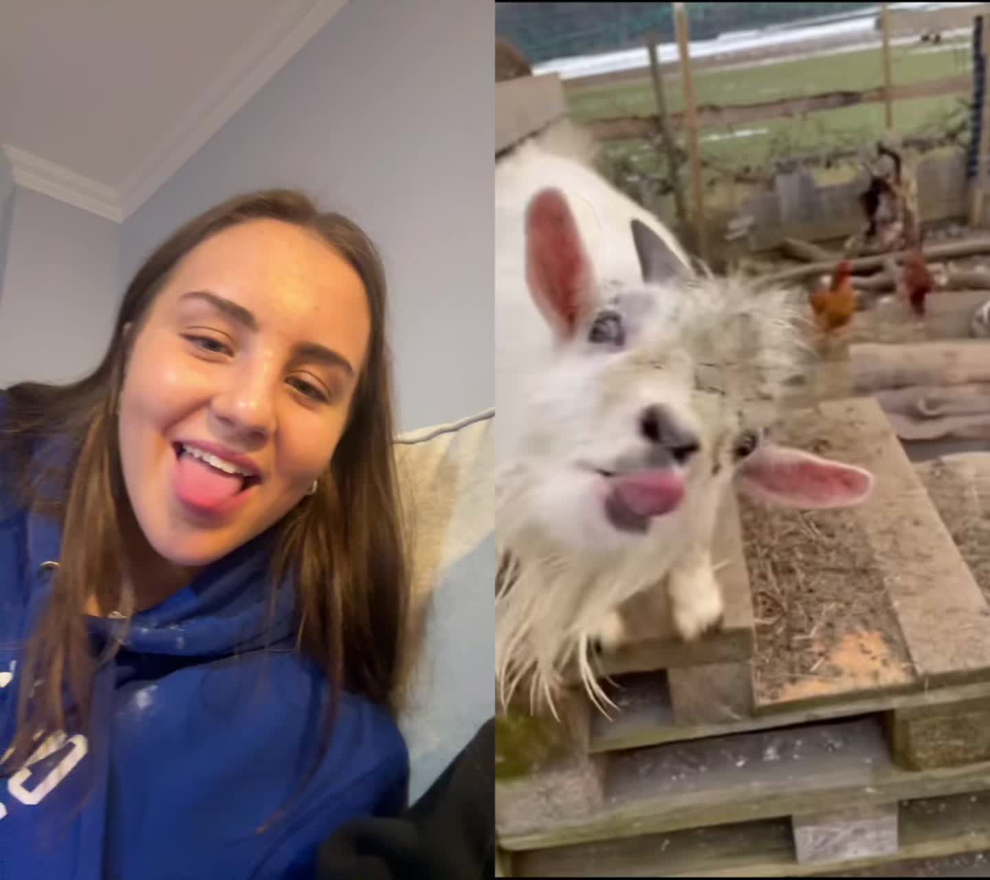 @fionajuddd