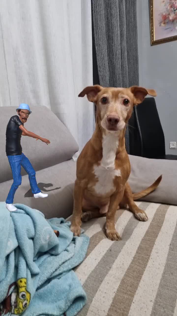 @Guffy_dog