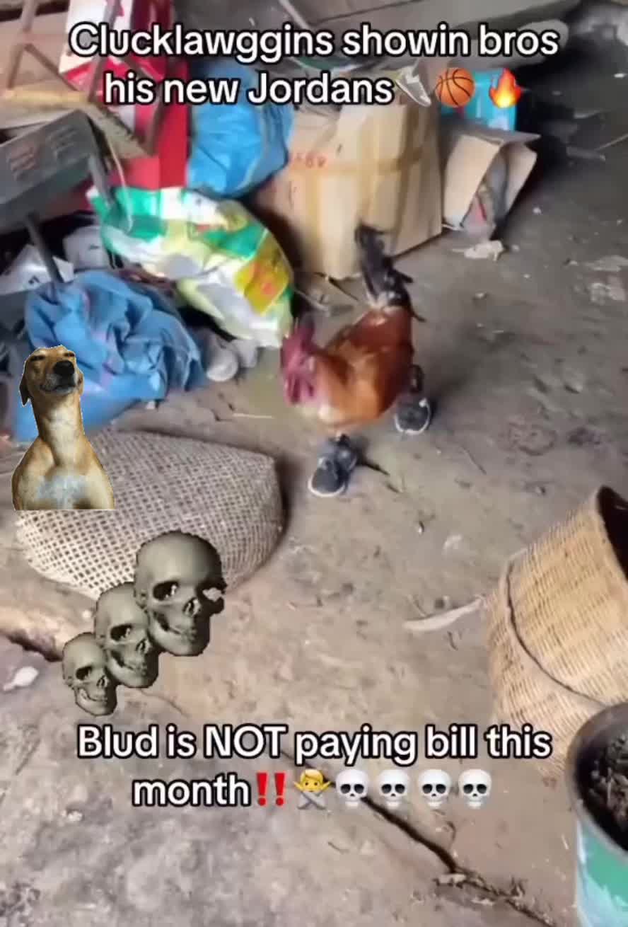 @Dj