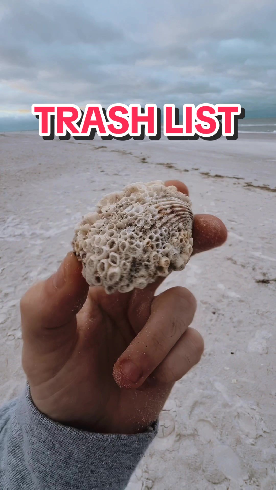 @TrashCaulin ♻️