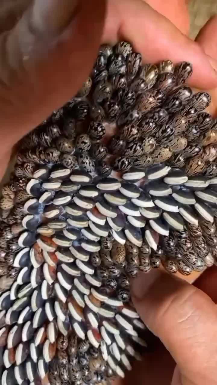 @tickyouu
