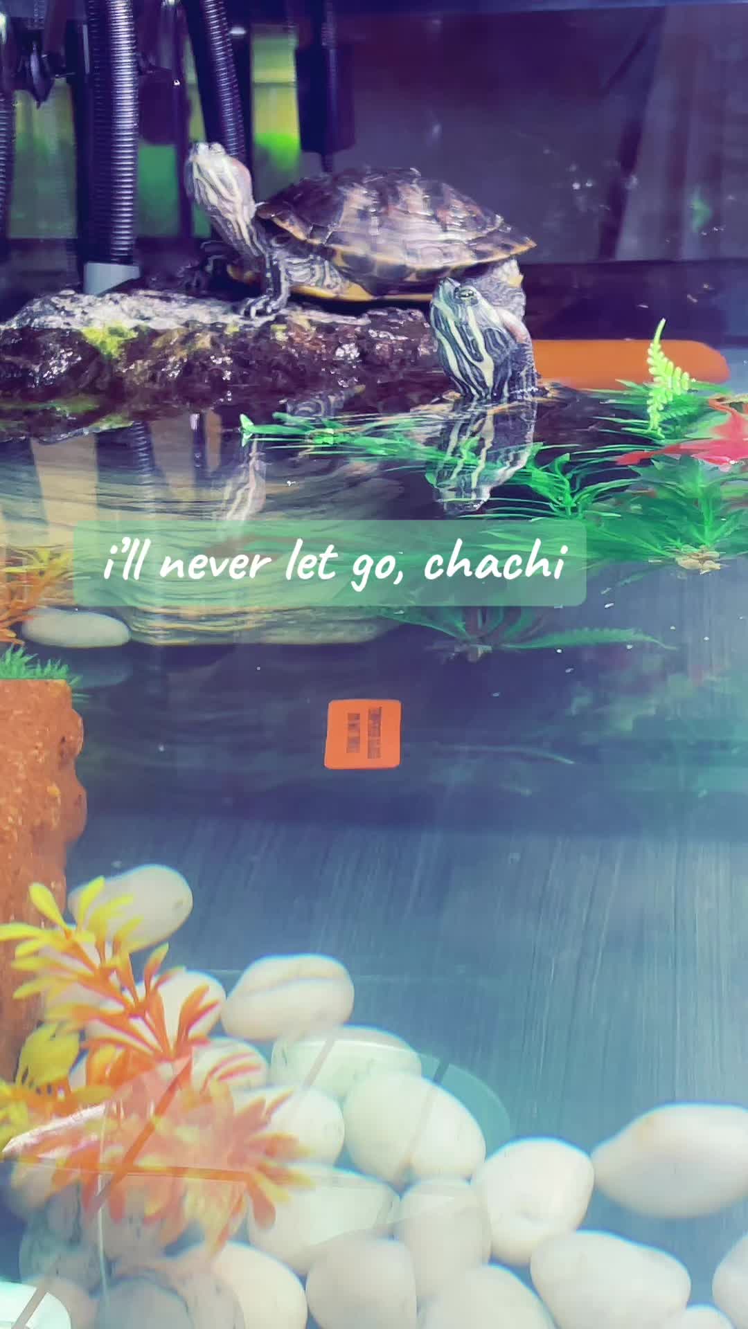 @wsx.039
