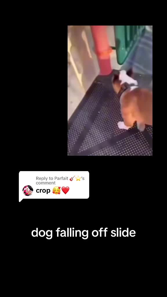 @tacoeater290