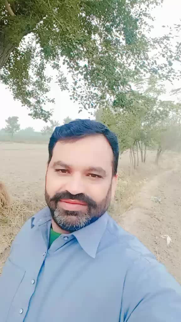 @jutt sab
