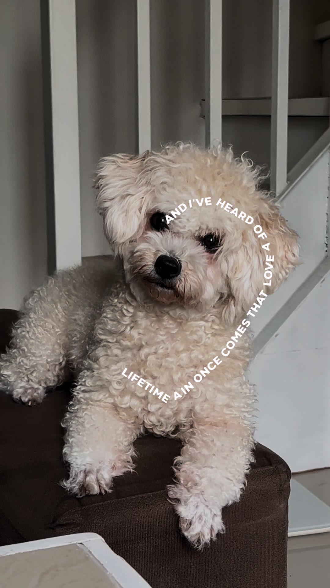 @Trix A.