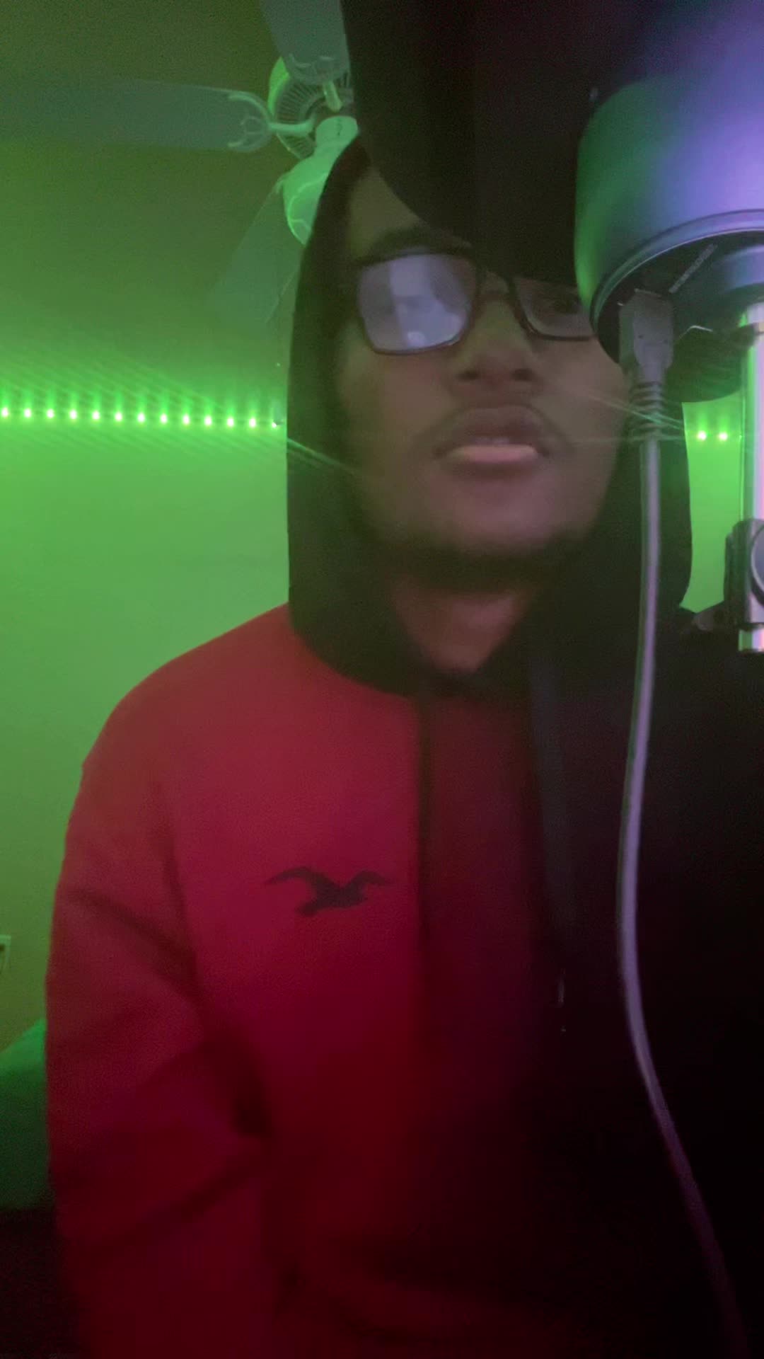 @Quise gambino