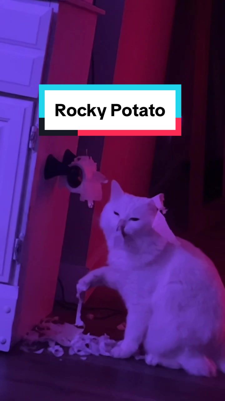 @Potato