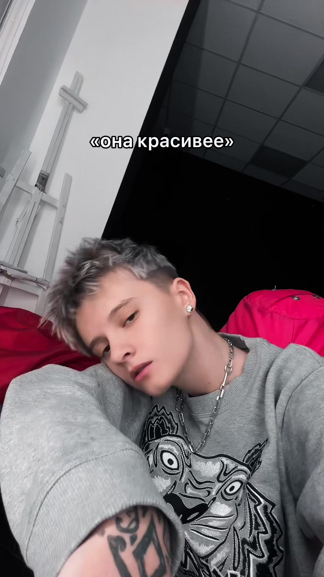 @Акула Лиззка 🦈